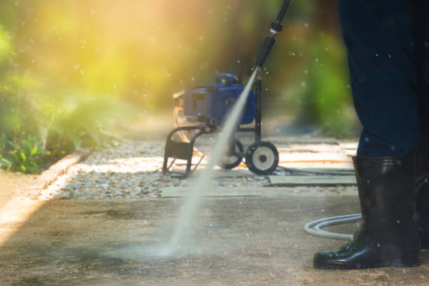 Best Animal Enclosure Cleaning  in Bonsall, CA